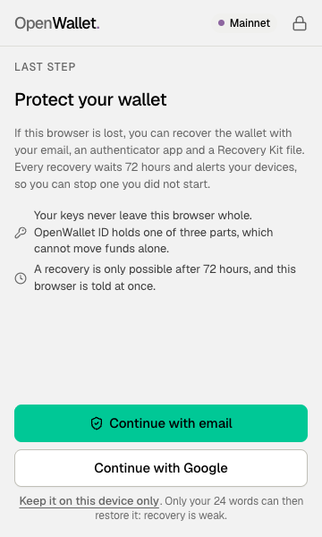 Protect your wallet: continue with email or Continue with Google.